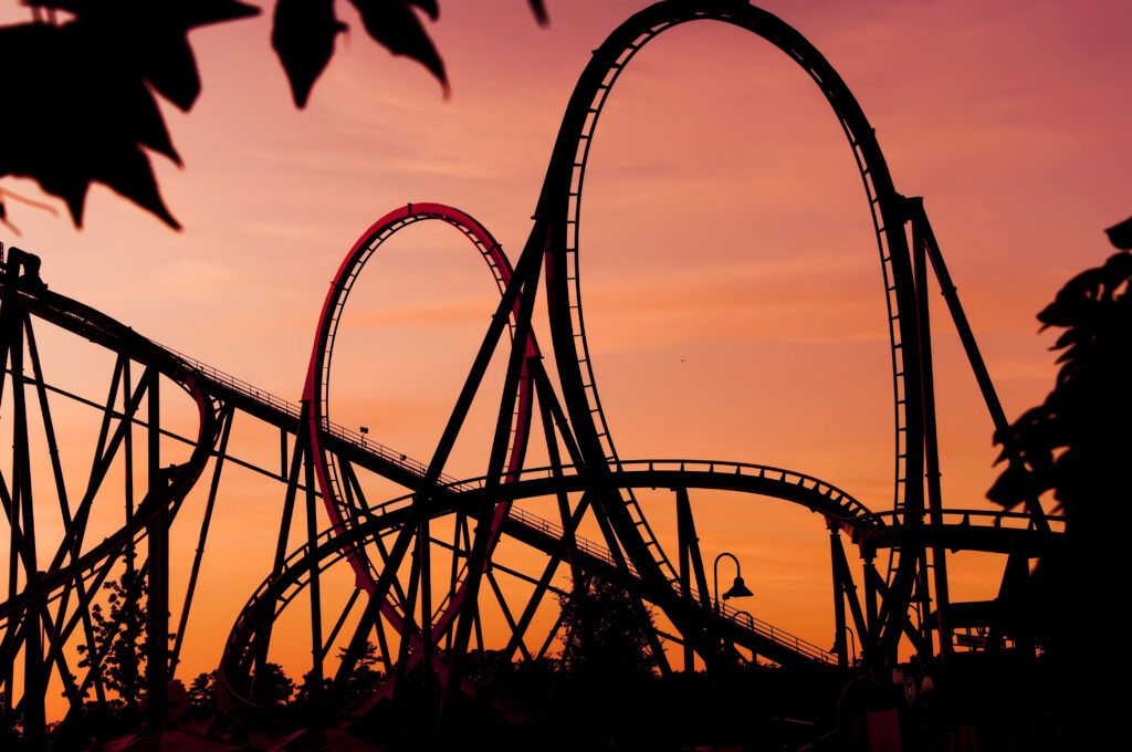 Riding the Emotional Roller-coaster: Staying Sane & Organized While Sheltering-in-place