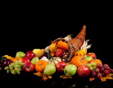 Organizing & Gratitude at Thanksgiving